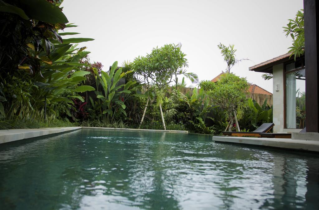 Dugul Ubud Habitación foto